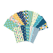 Portefeuille à 15 enveloppes avec fermeture à pression, système de gestion budgétaire pour espèces.