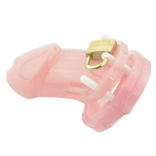 Fun Pink Short Plastic Wearing Cage, Comfortable And Novel Protective Cage For Fitness, Replaceable Rings In Multiple Sizes, One Key, Couple Gift