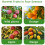 Rust Proof Telescoping Fruit Gathering Tool For High-400cm 4