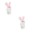 2 A Tema Con Animali Peluche 7