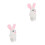 2 A Tema Con Animali Peluche 2