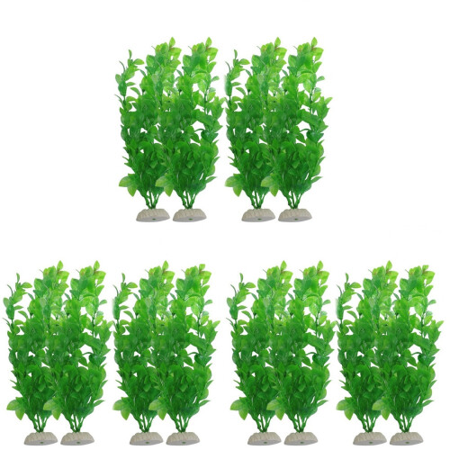 12 Unidades Planta Artificial Entada Phaseoloides Para 1
