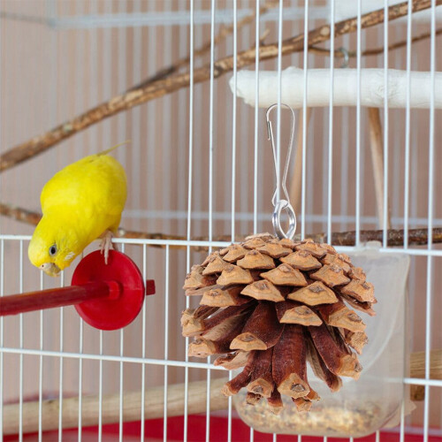 5 Parrot Natural Chews for Birdcage 2