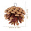 5 Parrot Natural Chews for Birdcage 2