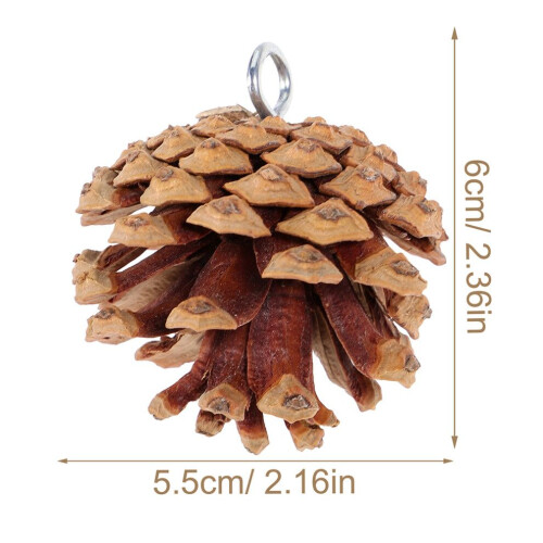 5 Parrot Natural Chews for Birdcage 1