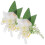 2 Simulated Corset Practical Boutonniere For Men 2