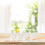 6 Plásticos transparentes para persianas verticales 5