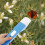 Handheld spider catcher, catching device for home use 4