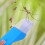 2-Piece Bug Catcher: Spiders and Insects for Exploration 5