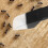 Handheld insect trap with long shaft, 4