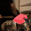Ensemble de percussions latines avec cloche et accessoires 5