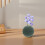 2 Kugeln, runde Blumensteckkästen, DIY-Bastelschaum 4