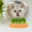 Hydroponic cat grass container toy germination tent planter yellow 4