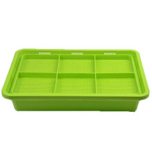 Double-layered sprouting tray made of PP resin, 32x22 cm, green