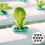 10. plastic cups, hydroponic containers, plant baskets 4