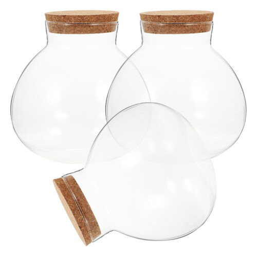 Miniväxthusterrarium glasflaska transparent 3