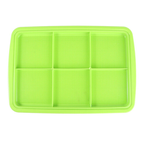 Dubbellaagse kiemschaal van PP-hars, 32x22 cm, groen 2
