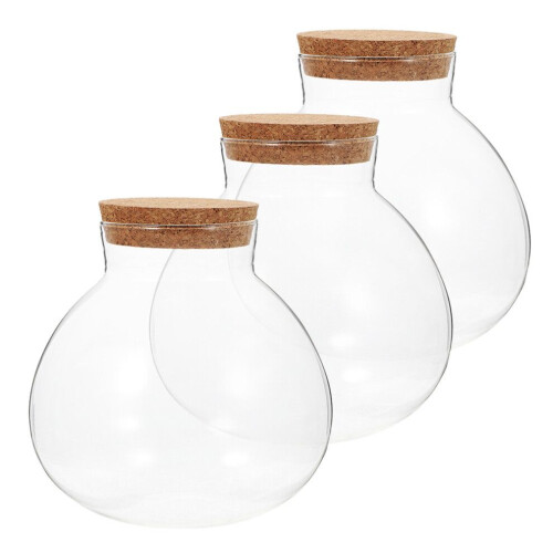 Miniväxthusterrarium glasflaska transparent 3 2