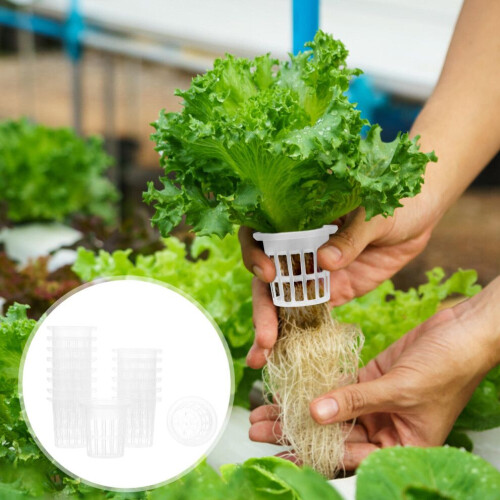 50 plastic cultivation baskets for 2