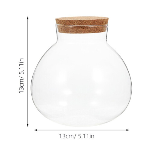 Miniväxthusterrarium glasflaska transparent 3 1