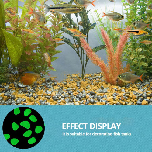 300 Harz – für Aquarien- und Gartendekoration 2