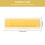 Plastic mondharmonica voor kinderen, muziekinstrument 3