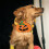 Halloweenhalsband för M pumpadesign 4