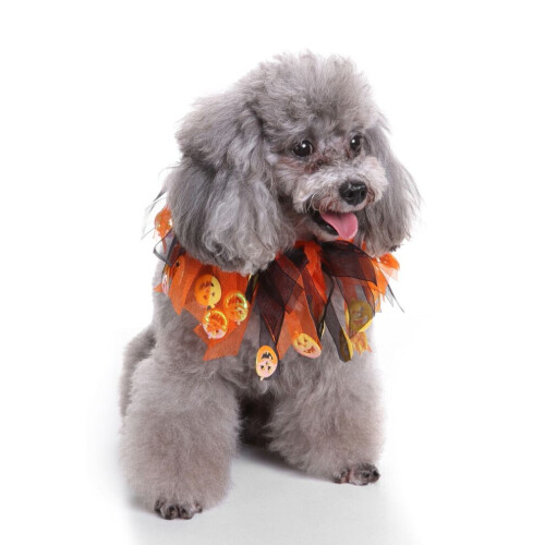 2 små elastiska hundhalsband för Halloween, storlek M 1