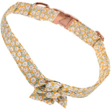 Snygg halsband för och med