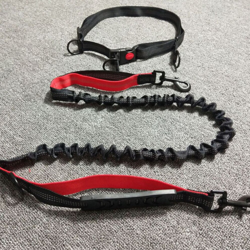 1. Hundkoppel, rep, elastiskt koppel, rep för hundar 1