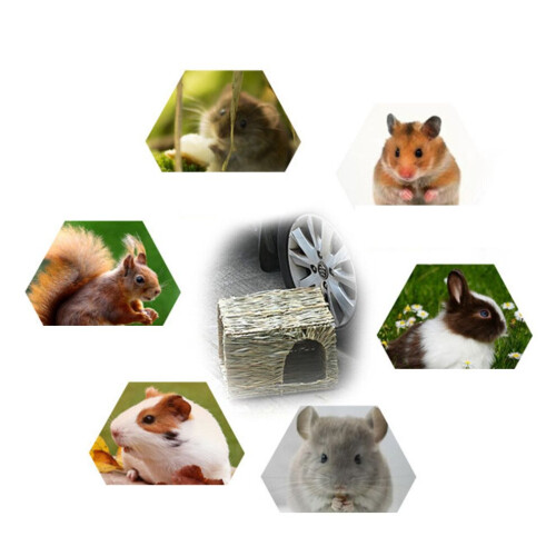 Hamsterhütte, Eichhörnchenhütte, Hamsterhaus 2