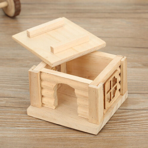 Natural environment for hamsters and rats with flat roofs 2