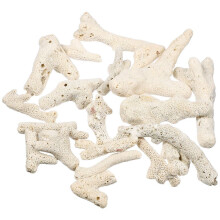 2 Stück 3-10 cm 500 g Aquarienfiltersteine