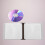 CD/DVD storage case, color, compact design, for media 5