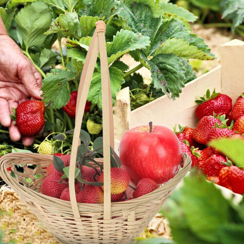 Flätad blomkorg för picknick och bröllop 2