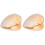 2 Stück Kreative Muschelmuster - Tierlehrset 2