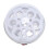 Electric Egg Boiler 350W 7 Eggs Anti Dry 5