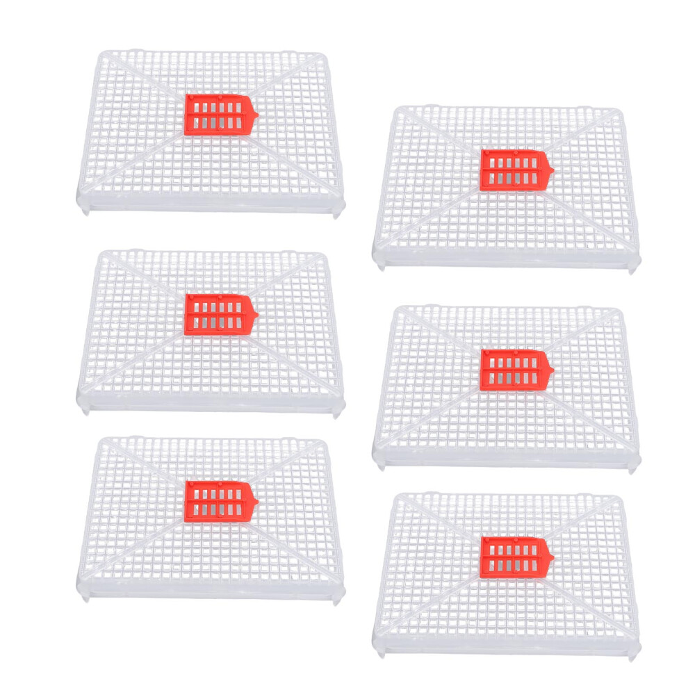 6pcs Plastic Square Buckle Queen Bee Cage Artificial Swarming-image-OPC-PMY55VT-NEW