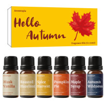 Diffusore Oli profumati Aromtopia Oli essenziali autunnali per diffusori per la casa 6x10ml Set autunnale Candela Sapone Profumi Sfera per asciug