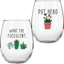 Cadeaux de cactus succulents pour femmes Lot de 2 verres vin amusants 425 ml Tasse cadeau pour amoureux des plantes What the Fucculent