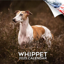 2024 2025 Whippet Kalender - Hondenras Maandelijkse Wandkalender - 12 x 24 Open - Dik No-Bleed Paper - Cadeaubaar - Academische Leraar Planner Kalend