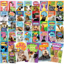 T MARIE 40 grappige dierengrappen ansichtkaarten zonder herhalingen - 4x6 humoristische bulk denken aan je ansichtkaarten voor kinderen kleinkinderen