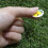 Marcadores de Bolas de Golfe GOLTERS Pack de 6 (Misturado 02) 3