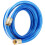 Megolds 1