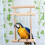 Para Madera Morder Trepar Educativo 10