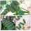 3Pcs De Espuma Floral Para Flores 2,3M 7