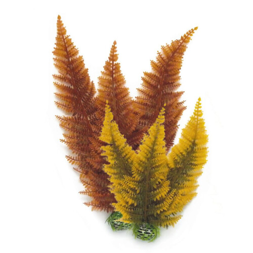 Biorb Biorb Aquatic Autumn Fern Medium 2pack