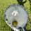 Lightweight Extendable Fruit Gathering Device 5.9 Inch-320cm 3