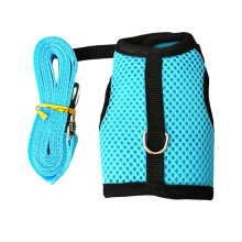 Adjustable Buckle Harness and Leash for Cats, Kittens, and Small Pets, Blue