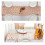 Iridescents Sequins Table Runner Tablecloth Table-Royal Blue 5
